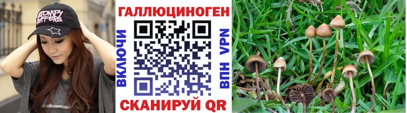 где купить наркоту  Шумиха  Галлюциногенные грибы ЛСД 
