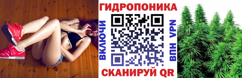 закладка  гидра онион  Бошки марихуана планчик  Шумиха 
